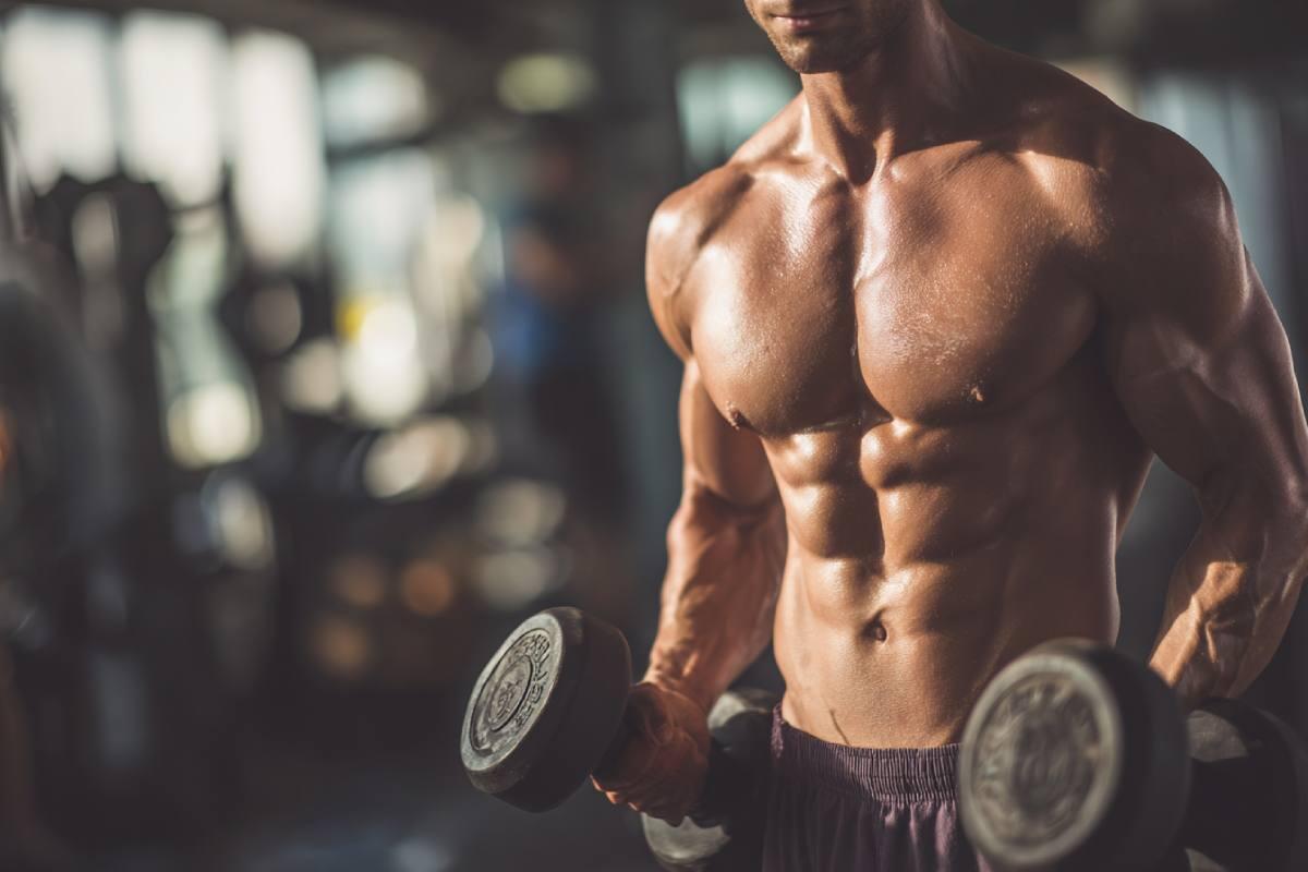 Melhores Creatinas em 2025: Guia Completo para Escolher a Sua